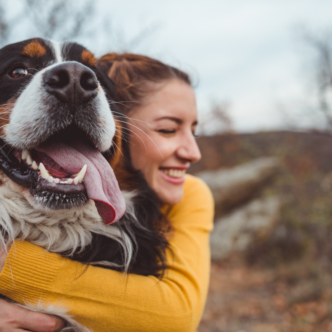 11 Fun Things To Do with Your Dog Near Home