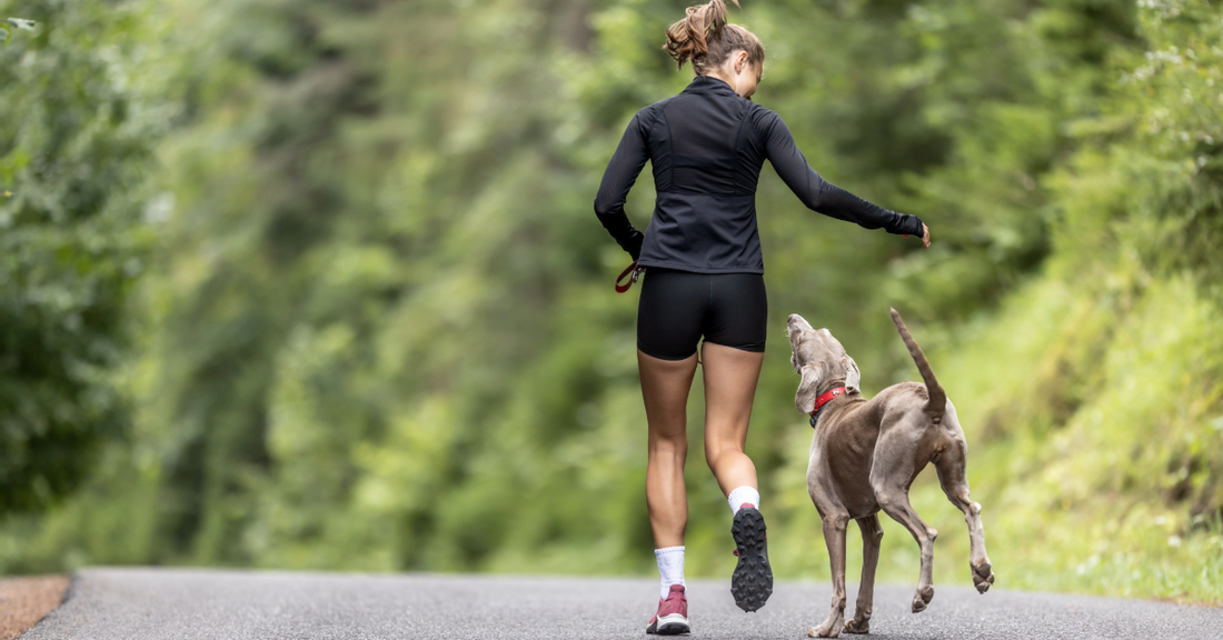 How to Start Running with Your Dog: A Complete Guide to Benefits, Training, and Progression