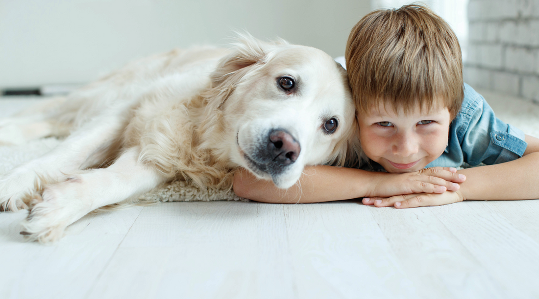 Top 10 Dog Breeds for Families with Kids: Friendly, Loyal, and Safe