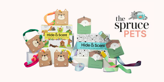 Hide&Scent Voted One of The Spruce Pets’ Best Interactive Dog Toys for Mental Enrichment