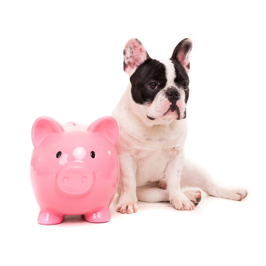 The Cost of Dog Ownership in 2024: A Comprehensive Guide