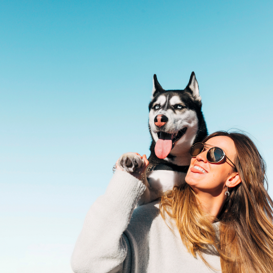 How to Choose the Right Dog for You: Key Considerations and Questions to Ask