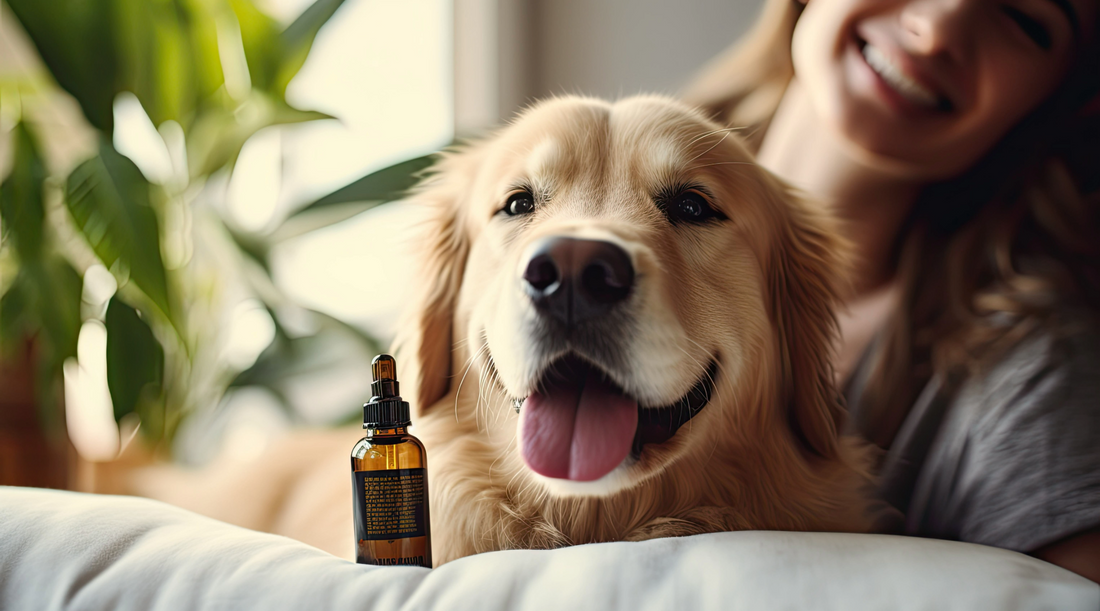 Cannabis Oil for Dogs