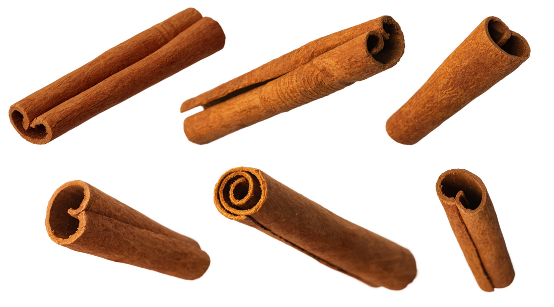 Can Dogs Eat Cinnamon? Benefits & Risks Explained