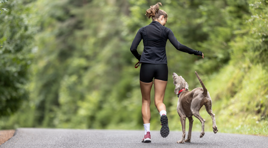 How Much Exercise Does Your Dog Really Need? Expert Tips for Healthy, Happy Pets